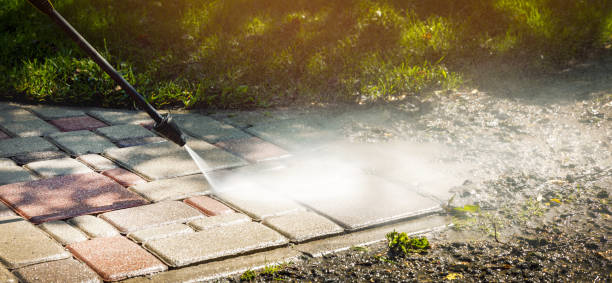 Best Animal Enclosure Cleaning  in Mcconnellsburg, PA